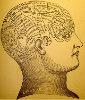 phrenology's Avatar